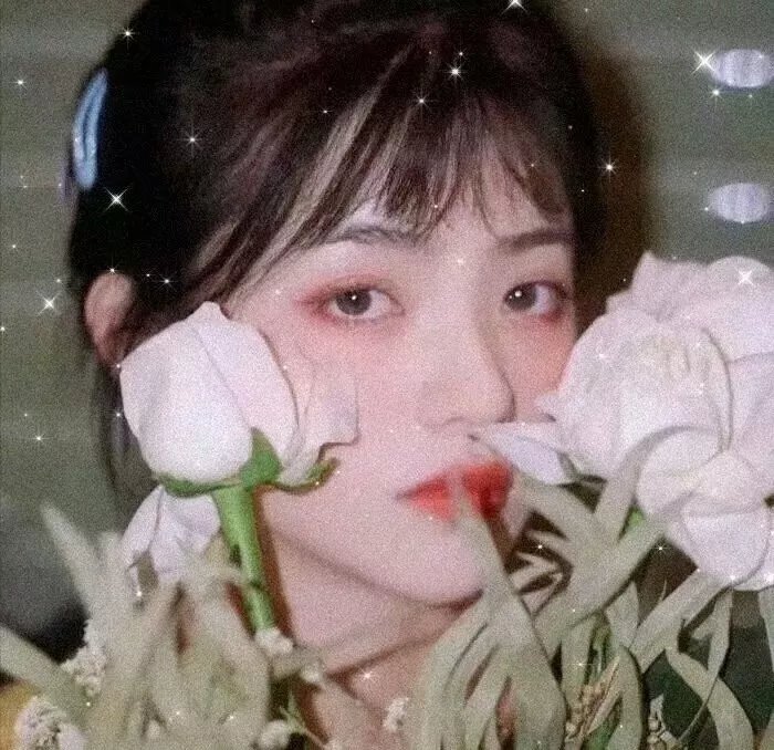 井盖儿